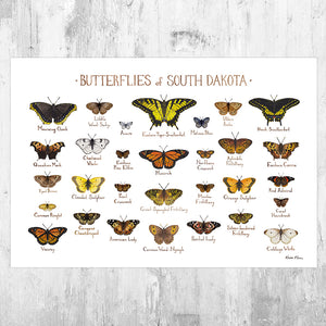South Dakota Butterflies Field Guide Art Print