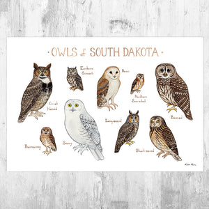 South Dakota Owls Field Guide Art Print