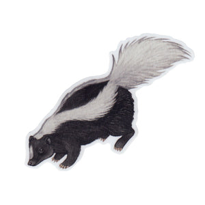 Striped Skunk Vinyl Sticker