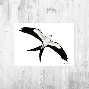 Swallow-tailed Kite in Flight Art Print