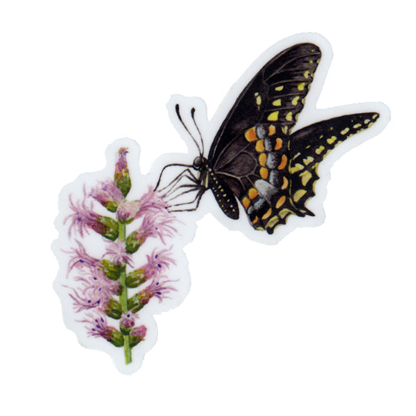 Swallowtail on Blazing Star Vinyl Sticker