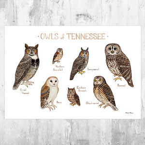 Tennessee Owls Field Guide Art Print