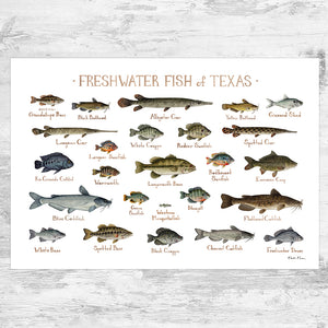 Texas Fish & Game Magazine Freshwater