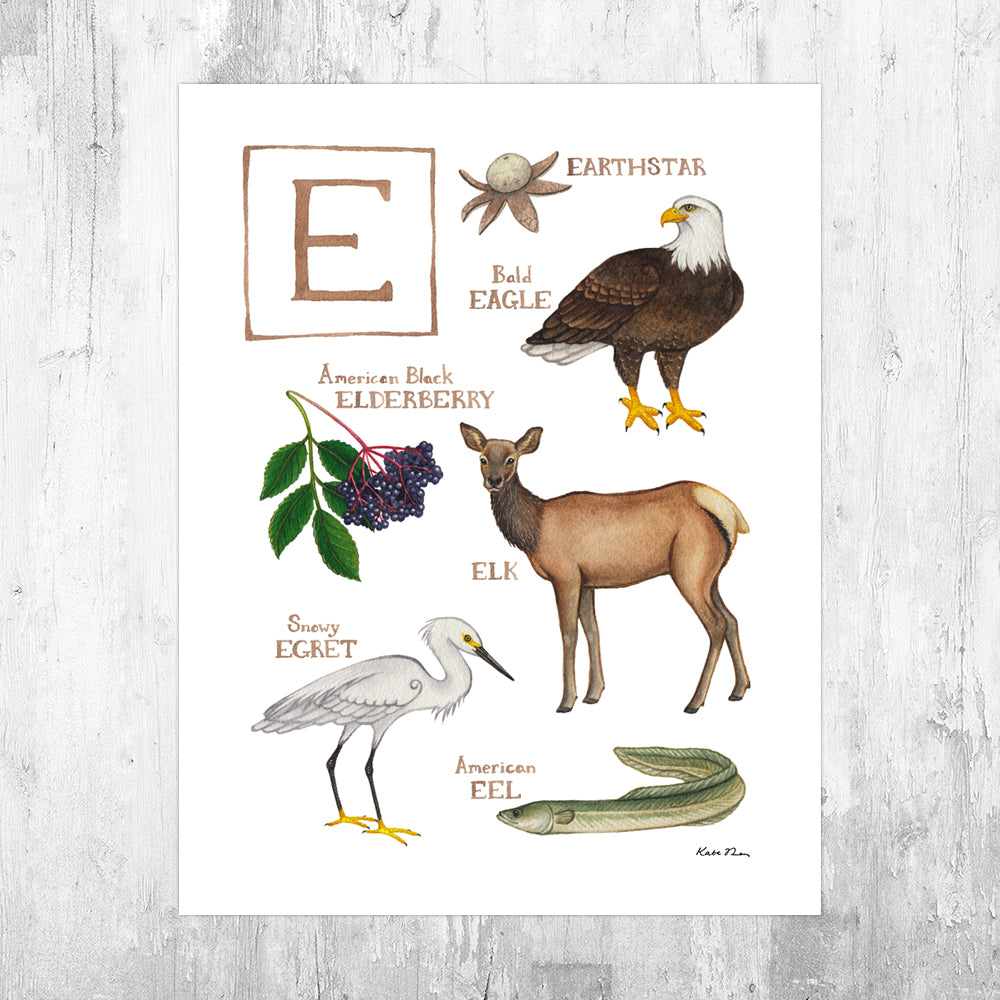 The Letter E Nature Art Print