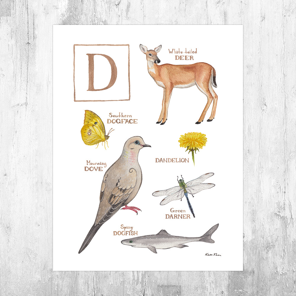 The Letter D Nature Art Print