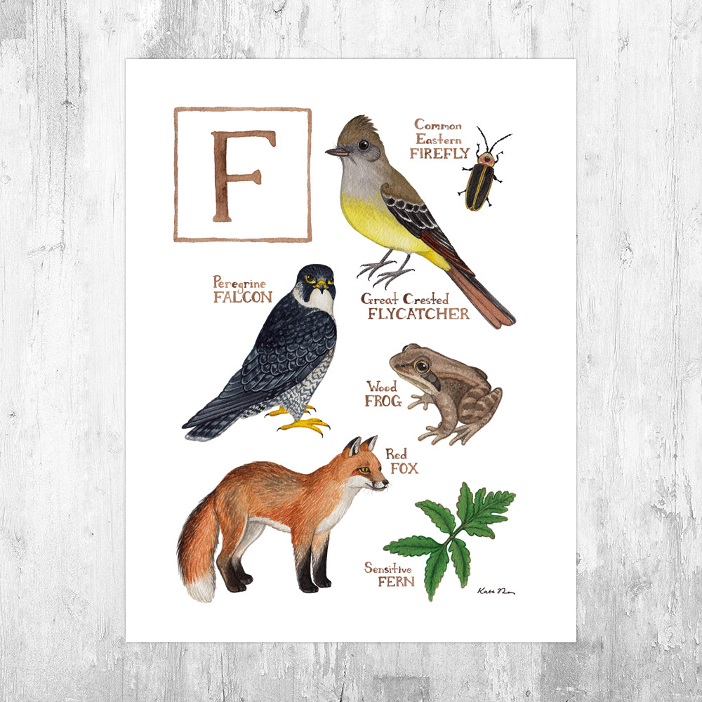 The Letter F Nature Art Print
