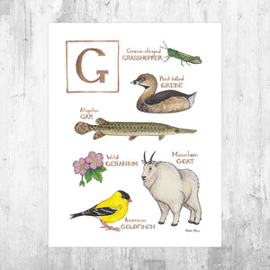 The Letter G Nature Art Print