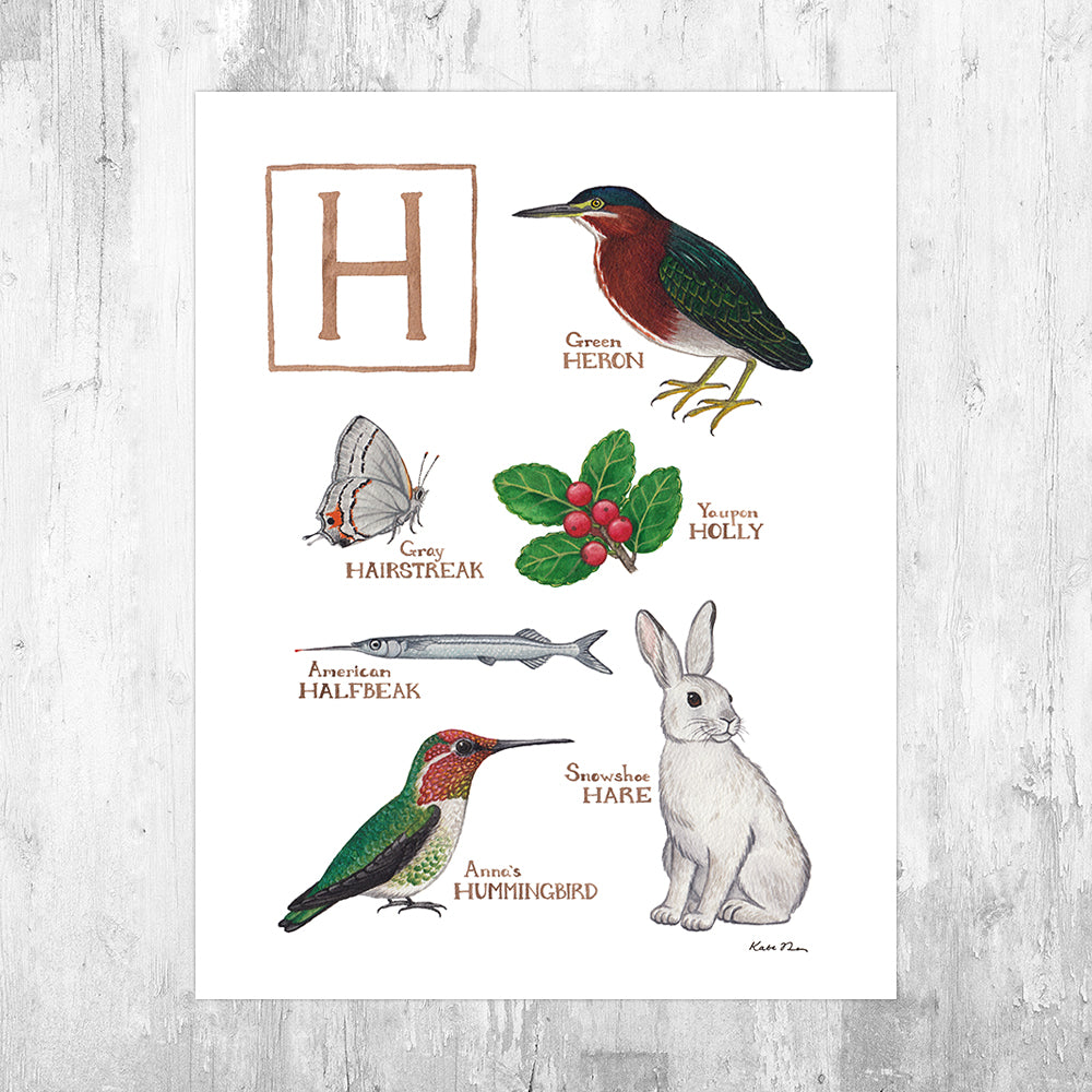 The Letter H Nature Art Print