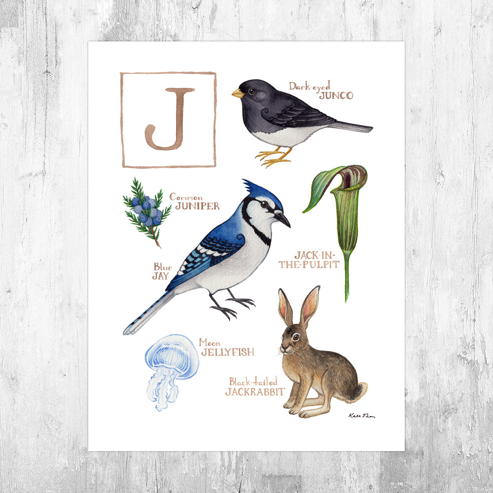 The Letter J Nature Art Print