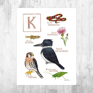 The Letter K Nature Art Print