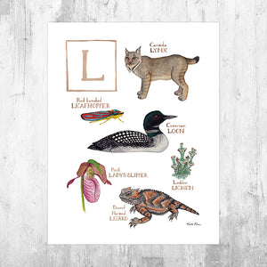 The Letter L Nature Art Print