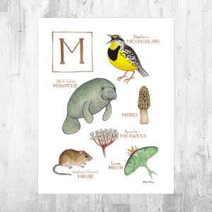 The Letter M Nature Art Print