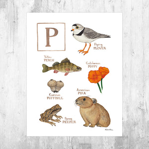 The Letter P Nature Art Print
