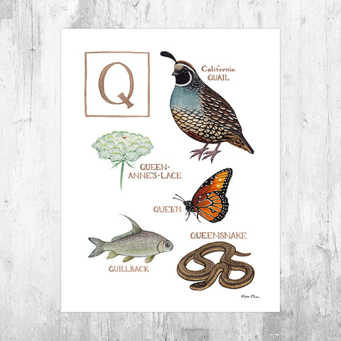 The Letter Q Nature Art Print