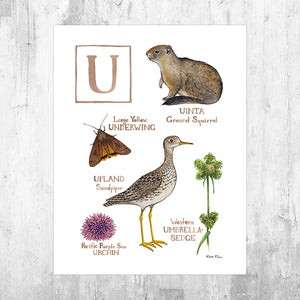 The Letter U Nature Art Print