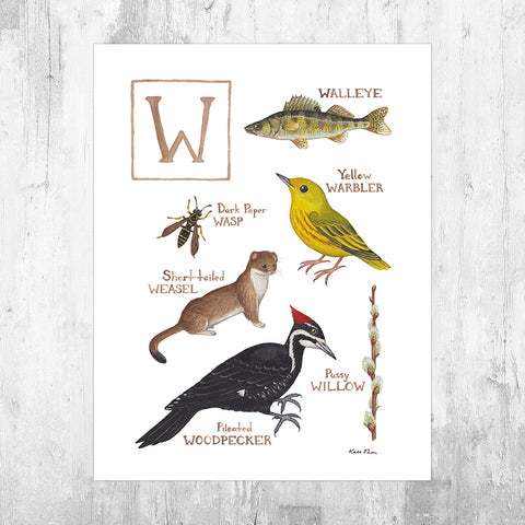 The Letter W Nature Art Print