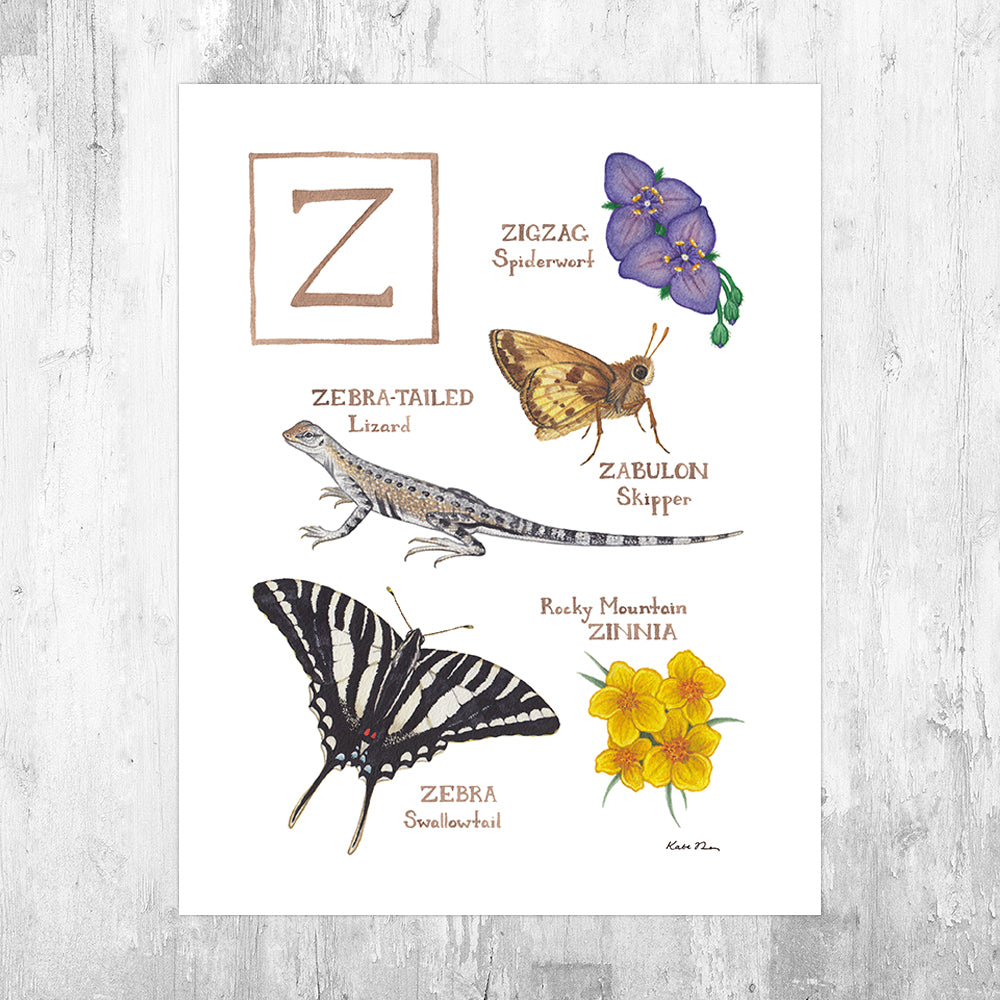 The Letter Z Nature Art Print