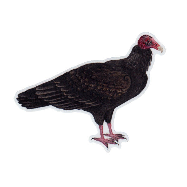 Turkey Vulture Vinyl Sticker