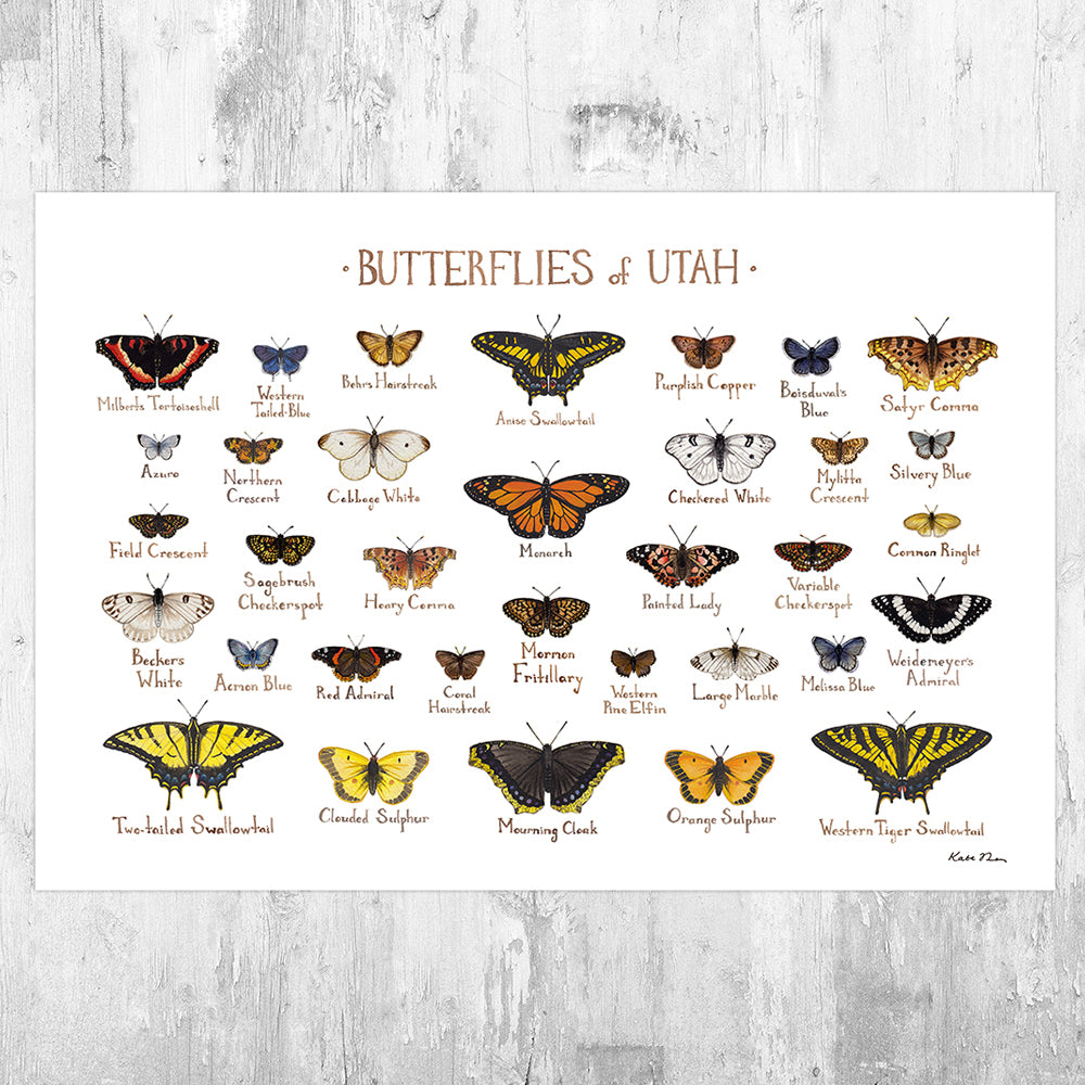 Utah Butterflies Field Guide Art Print