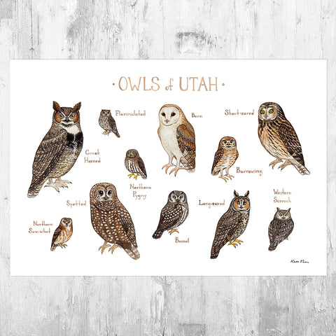 Utah Owls Field Guide Art Print