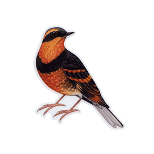 Thrush Bird Sticker Varied Thrush Vinyl Sticker – Kate Dolamore Art