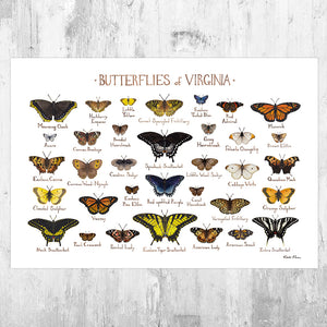 Virginia Butterflies Field Guide Art Print