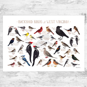 West Virginia Backyard Birds Field Guide Art Print
