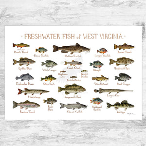 West Virginia Freshwater Fish Field Guide Art Print