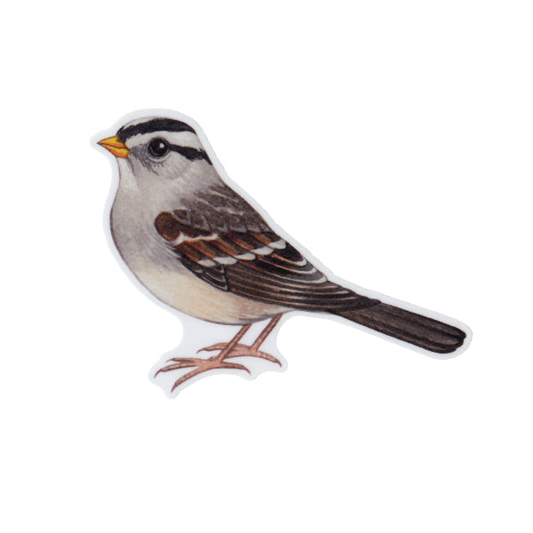 White-crowned Sparrow Vinyl Sticker