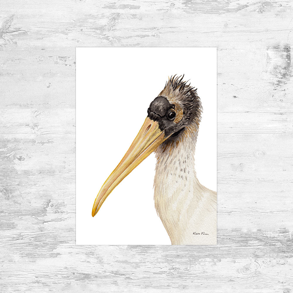 Wood Stork Art Print