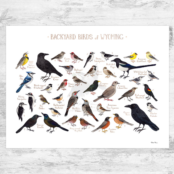 Wyoming Backyard Birds Field Guide Art Print