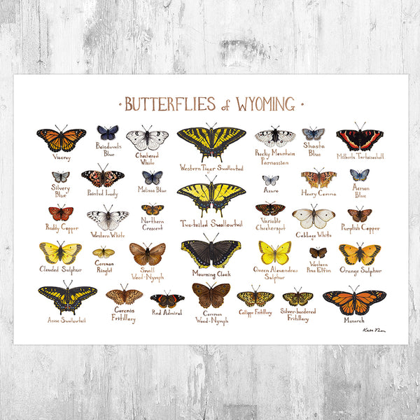 Wyoming Butterflies Field Guide Art Print – Kate Dolamore Art