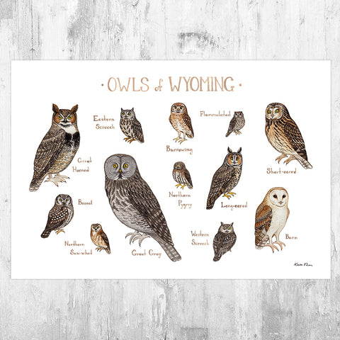 Wyoming Owls Field Guide Art Print