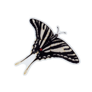 Zebra Swallowtail Vinyl Sticker