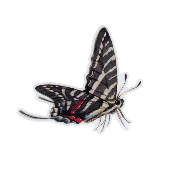 Zebra Swallowtail Vinyl Sticker