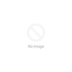 Owls of the US and Canada Prints